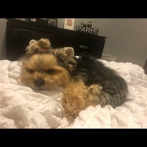 Meet your Posher, Fran